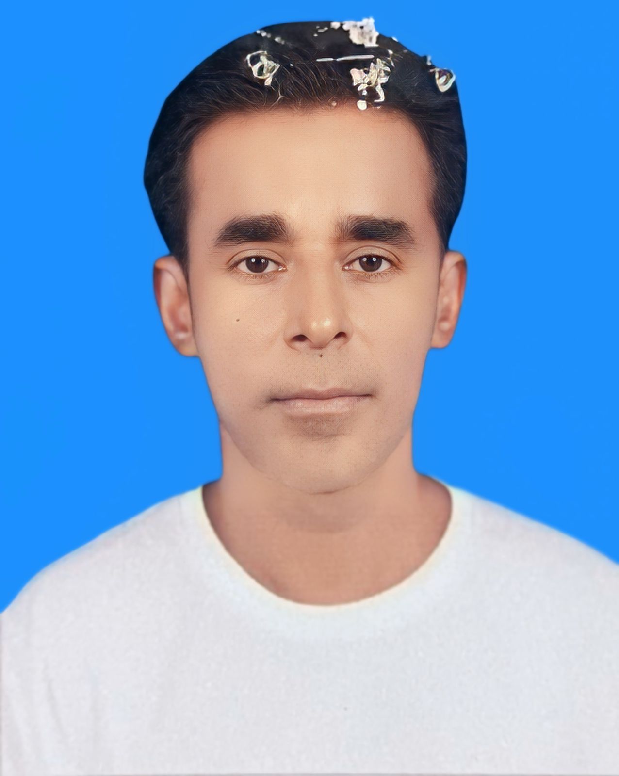বায়জিদ চৌধুরী